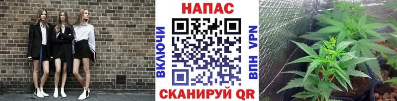 как найти   Копейск  Каннабис White Widow 